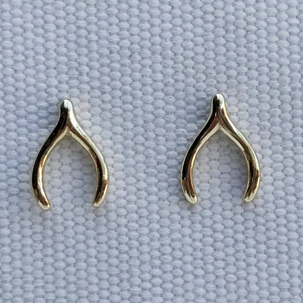 Wishbone Earrings- Style On The Spot